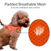 Plutus Pet No Pull Dog Harness with Breathable Mesh Padded,