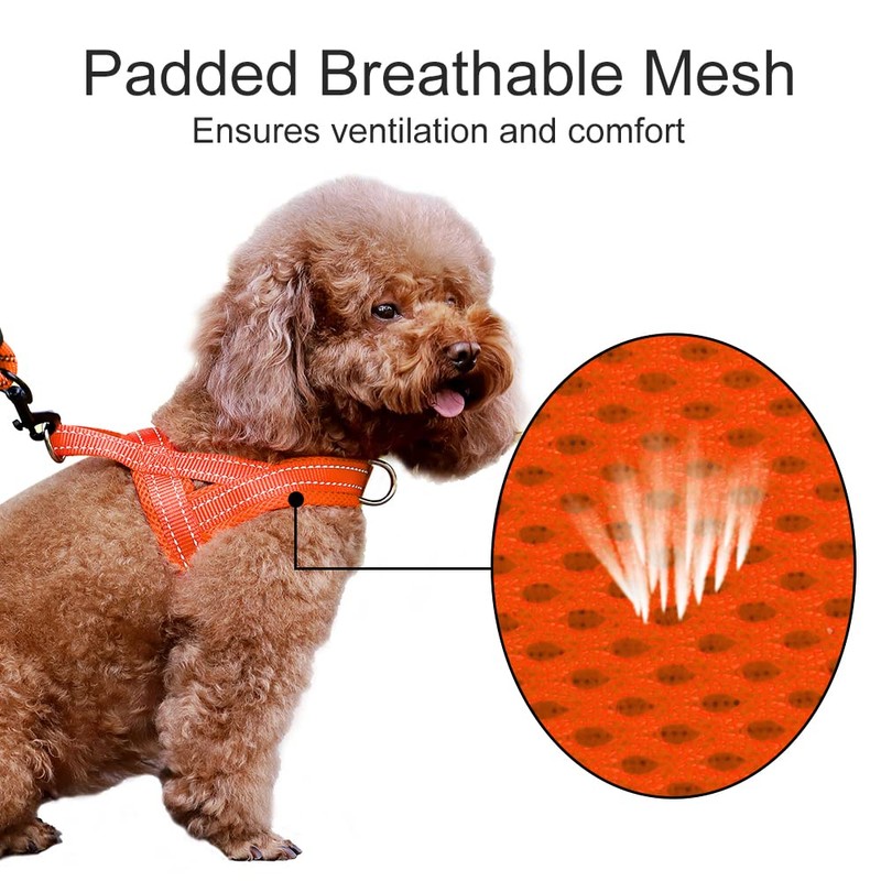 Plutus Pet No Pull Dog Harness with Breathable Mesh Padded,