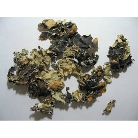 Dagad Phool (Pathar Phool) or Black Stone Flower 50gram