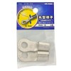 Ohm Electric Round Terminal R60-10, 2-Pack DZ-R60-10/A2 09-2442 OHM