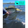 Zanderfang - Rubber Fish Set - Rubber Bait for Zander,