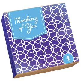 Fairytale Brownies Thinking of You Bar & Sprite Combo Individually Wrapped Gourmet Chocolate Food Gift Basket - 3 Inch x 1.5 Inch Snack-Size Brownies and 3 Inch x 2 Inch Blondie Bars - 21 Pieces - Item CT382