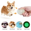 petizer 6 Pack 3.5’’ Glow in The Dark Dog Balls