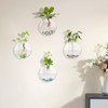 Plant Propagation Station Wall Hanging Planter -Clear Glass Terrarium Vasesfor