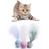 LAIYOHO 3 Pieces Cat Toys with Feather Teaser Chew Toys