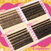Calphdiar Lash Clusters 40D+60D+80D+100D Eyelash Clusters 474PCS Individual Lashes D-Curly