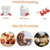 Professional Chicken Waterer Cups, 8pcs Large Chicken Water Feeder, Automatic