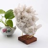 Display Stand for Crystals | Rock Display Stand Brass, Display