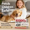 Mouse Repellent 34 Balls, Peppermint Rodent Repellent for Indoor &