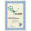 Computer Craft A4 Certificate Papers with Foil Seals, 90gsm, Blue