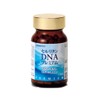 eru・esuko-pore-syon seruritan DNA Premium DNA and RNA with spores Lacto