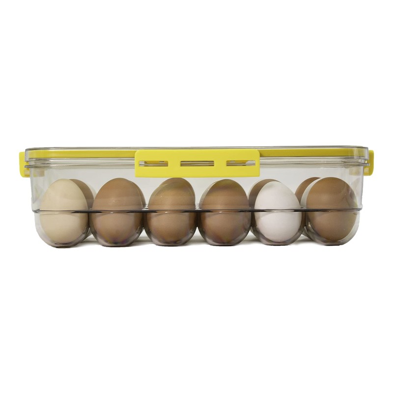 Egg Box Safe Egg Container