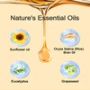 100% Natural Anti-Cellulite Massage Oil – Essential Oil Blend for