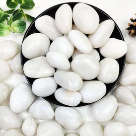YISZM 10lbs White River Rocks, 1-2 Inch Natural Pebbles for Indoor Plants, High Polished Decorative Stones Vase Filler Fish Tank Aquariums Landscaping Garden Outdoor and Indoor DIY