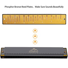 EastRock Harmonica 24 Holes 48 Tunes, Harmonica Key of C, Harmonica Mouth Organ for Beginner Adults Kids, Mini Blues Harmonica with Case and Cleaning Cloth (24 Holes, Black)