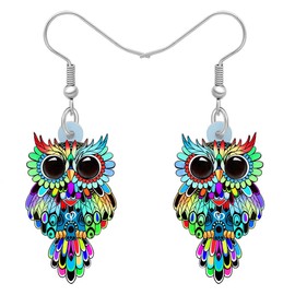 WEVENI Cute Acrylic Owl Earrings Dangle Cartoon Owl Jewelry for Women Owl Lovers Gifts (Rainbow)
