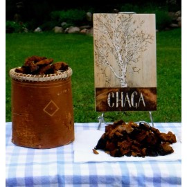 Tug Hill Wild Herbs Chaga Tea Bags