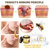 Bee Venom Comprehensive Cream, Advanced Firming & Wrinkle-Reducing Cream, Professional