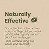 Good Salt Pet Fresh Nest Egg Wash Spray, Natural Cleaner