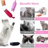 Mumoo Bear 5Pcs Bite Resistant Catnip Toy for Cats,Catnip Filled