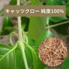 Cat Claw Tea 100% (0.1 oz (3 g) x 30