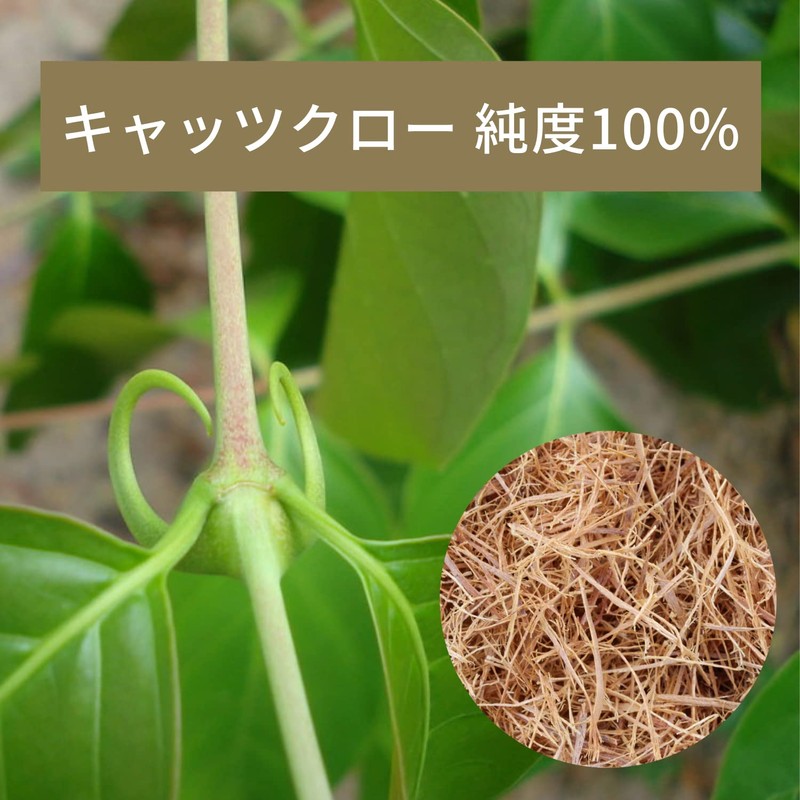 Cat Claw Tea 100% (0.1 oz (3 g) x 30
