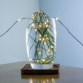 ZELUXDOT Fairy Lights Plug in,400FT 1200 LEDs Waterproof String Lights,Green Copper Wire,LED Lights Stirp with Remote 8Modes for Indoor Outdoor Christmas Wedding Birthday Patio Garden Decor,Warm White