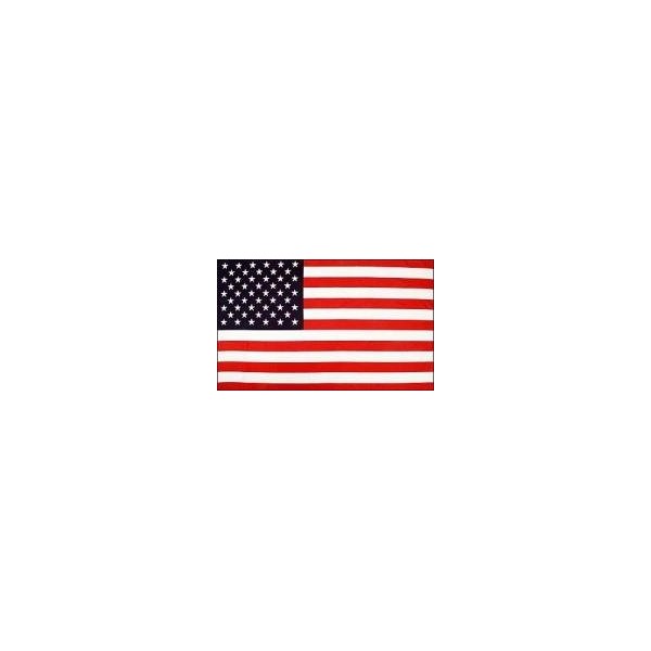 4' X 6' Foot Polyester American Flag USA