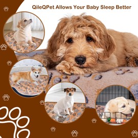 QileQPet Waterproof Dog Blankets for Small Dogs, Washable Pet Puppy Blankets Bed Cover for Girl Dogs, Reversible Fleece Furniture Protector Couch Cover (S-23" x16")