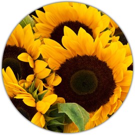 Screen Door Magnets - Sunflower Screen Magnets - Screen Door Decals Help Keep Everyone Safe - Screen Magnets for Screen Doors - Screen Door Magnets Double Sided Decorative (Sunflowers)