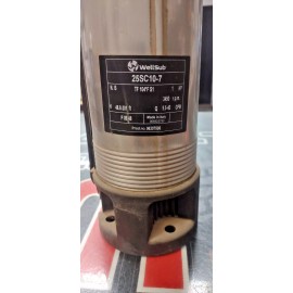 WellSub New 1HP 25GPM Pump End for Water Well Pump Installation
