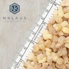 NKlaus 40556 Set of 2 Eritrea Large 100 g Olibanum