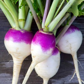 Outsidepride Purple Top Turnip Seed - 10 LBS