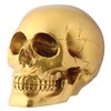 Gold Skull Head Collectible Skeleton Decoration Figurine