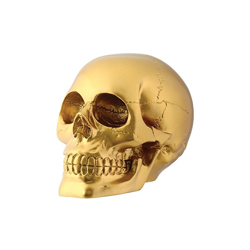 Gold Skull Head Collectible Skeleton Decoration Figurine
