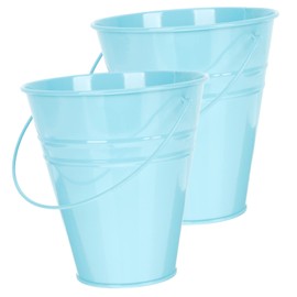 BESPORTBLE 2Pcs Small Iron Flower Pot Retro Multi Purpose Succulent Planter for Use Chic Home Decor for Dried Flowers and Bouquets Blue Color for Space