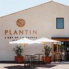Plantin - Black Winter Truffle Whole (Extra Brushed, 1st Boiling)