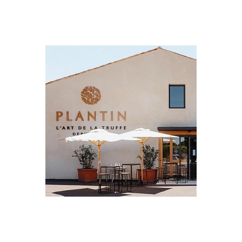 Plantin - Black Winter Truffle Whole (Extra Brushed, 1st Boiling)