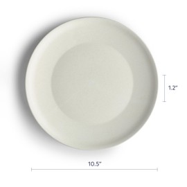 Year & Day Outdoor Set of 4 Unbreakable Lightweight Dinner Plates, Plant Derived, Palm Green, 10.6 inch