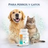 Probiótico Para Perro Probiotico En Tableta Masticable 60 Pz