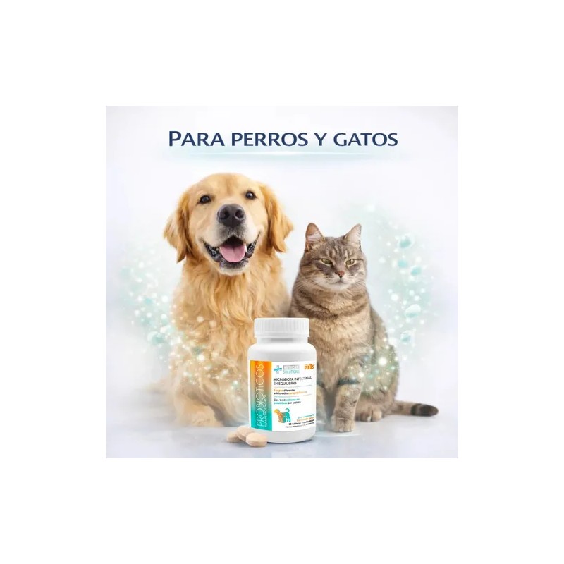 Probiótico Para Perro Probiotico En Tableta Masticable 60 Pz