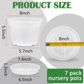 BTPLASTIK 7 Pack 8 Inch Clear Nursery Pots for Plants with Saucer