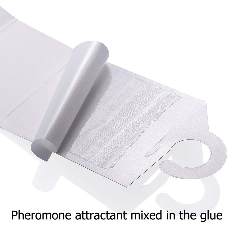 12-Pack Clothes Moth Traps with Pheromone Attractant for Closet and