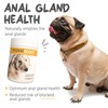 maxxipaws maxxiscoot Anal Gland & Digestive Health Support for Dogs