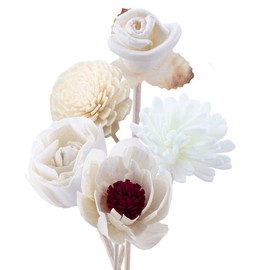 Leadigol 5Pcs Diffuser Sticks Wood Flower Diffuser,Natural Rattan Wood Sticks,Diffuser Sticks Refill Replacement,Fragrance Decorative Rattan Reed