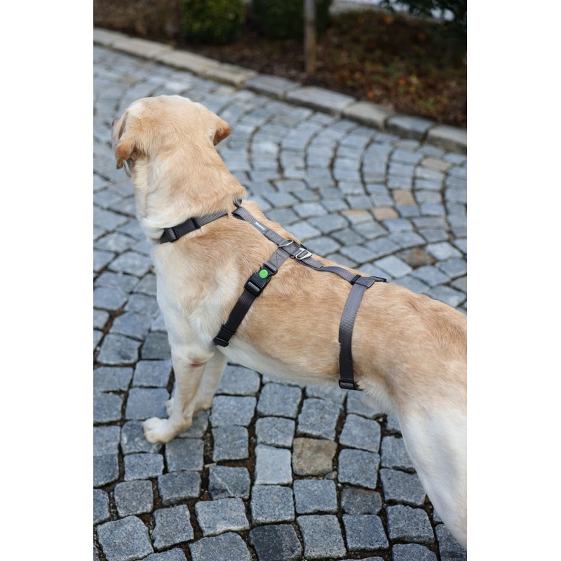 Kerbl Miami Panic Harness (Grey, Neck Circumference 48 - 64