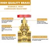 2-1/2" NPT Brass Gate Valve, Heavy Duty Female x Female