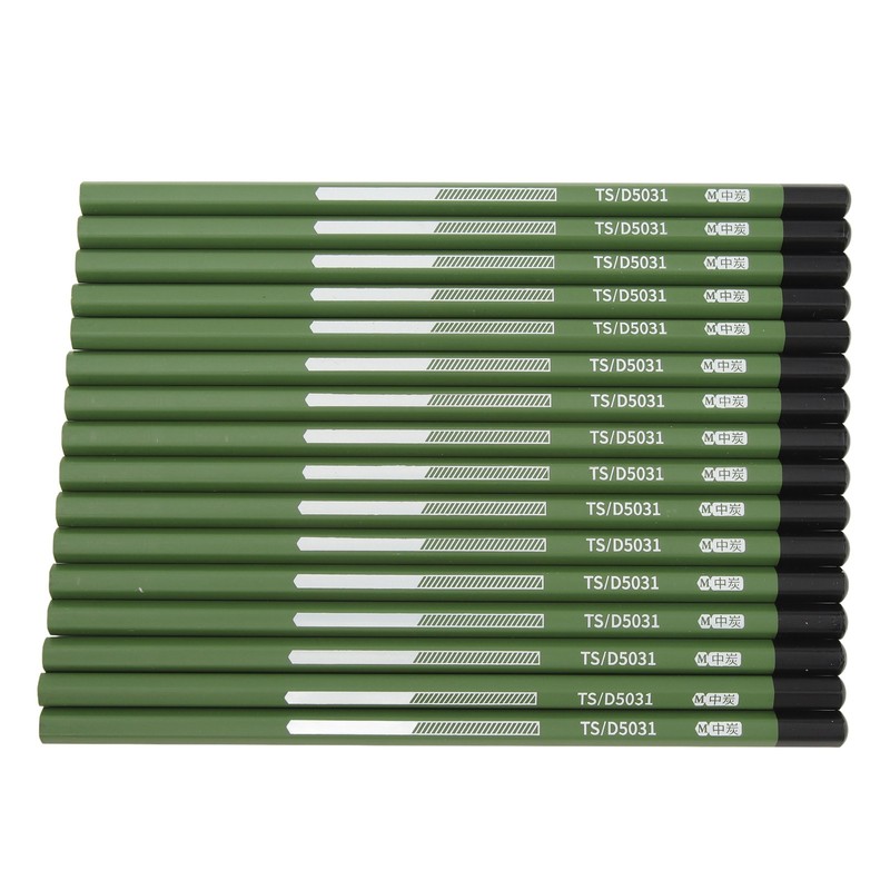 16pcs Professional Charcoal Pencils Multipurpose Safe Artist Pencils for Drawing