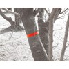 シンワ測定(Shinwa Sokutei) マーキングテープ 30mmX50m 蛍光オレンジ 73800