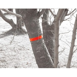 シンワ測定(Shinwa Sokutei) マーキングテープ 30mmX50m 蛍光オレンジ 73800